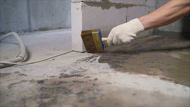 Trusted Waterproofing service in Echola, AL - SGP Waterproofing